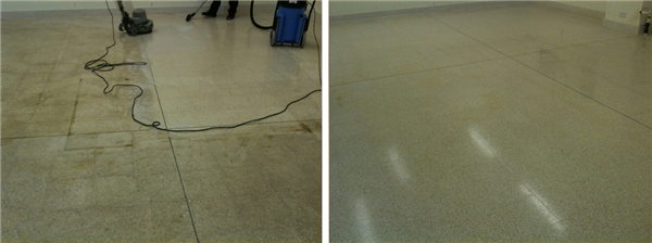 Terrazzo Restoration in a Pharmaceutical Laboratory