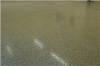 Terrazzo in pharmaceutical lab – grind, clean and finish